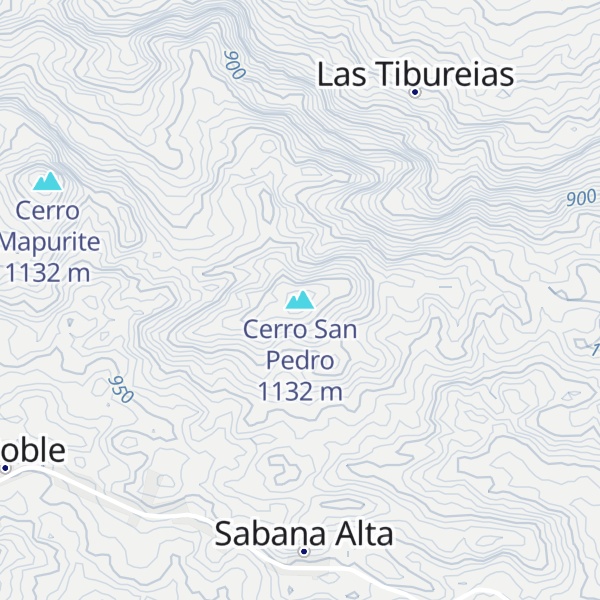 Map of Cerro San Pedro