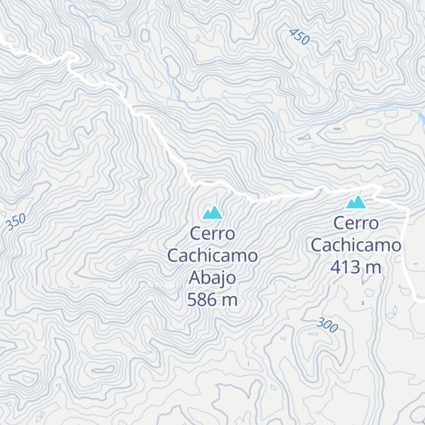 Map of Cerro Cachicamo Abajo