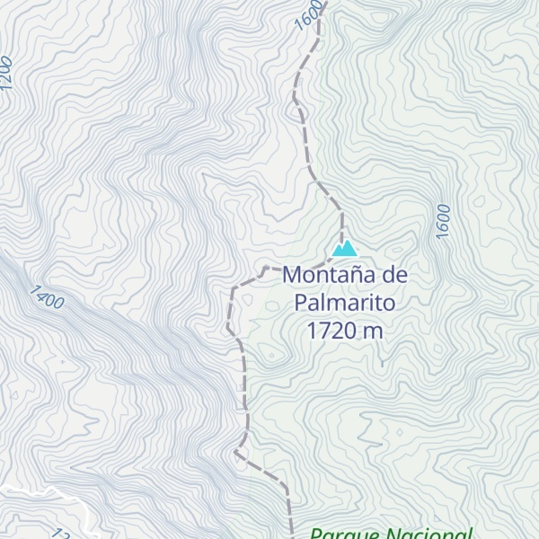 Map of Cerro Palmarito