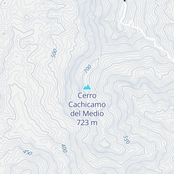 Map of Cerro Cachicamo del Medio