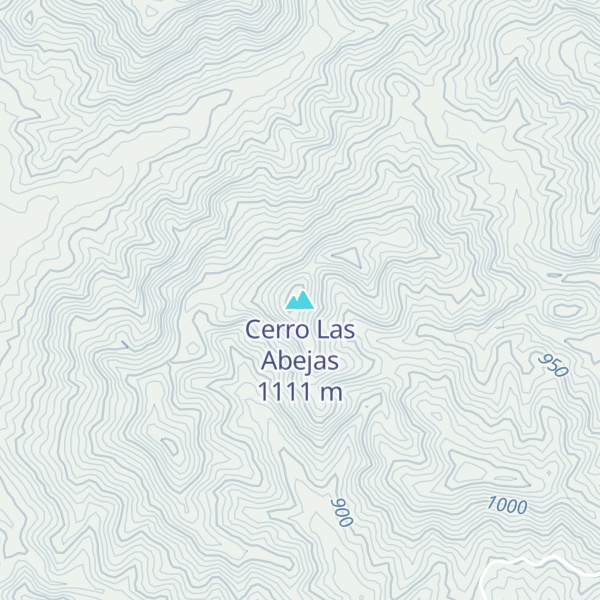 Map of Cerro Las Abejas