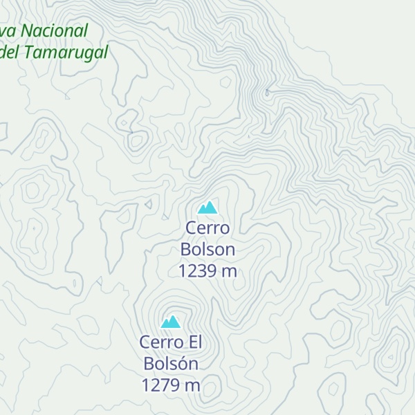 Map of Cerro Bolson