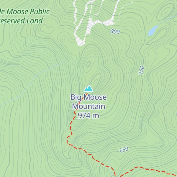 Map of Big Moose Mountain