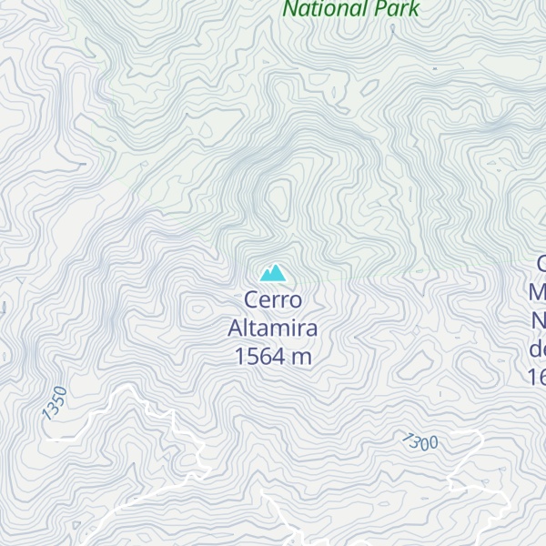 Map of Cerro Altamira