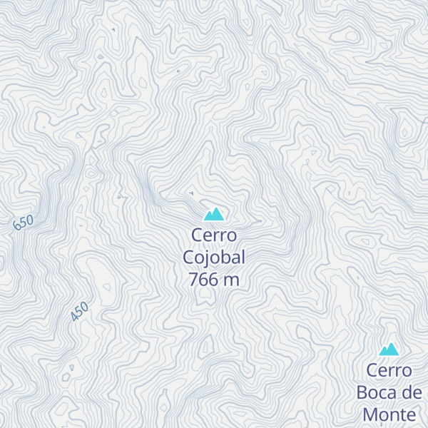 Map of Cerro Cojobal