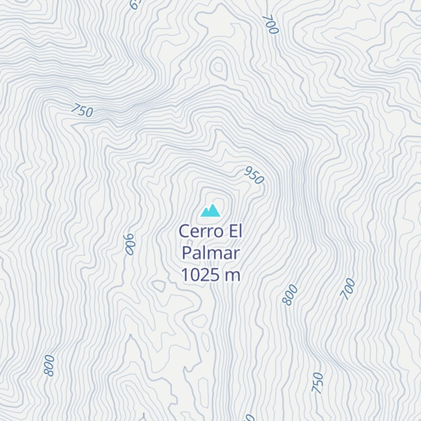 Map of Cerro El Palmar