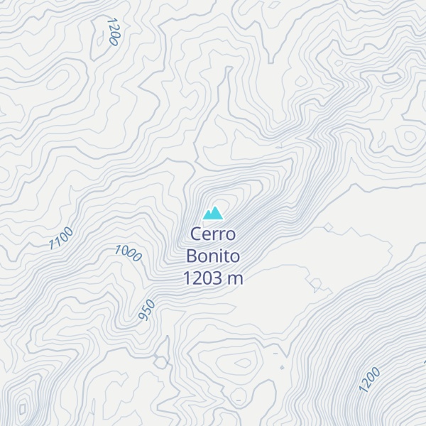 Map of Cerro Bonito