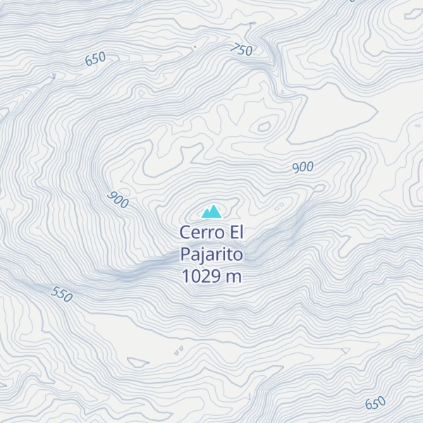 Map of Cerro El Pajarito