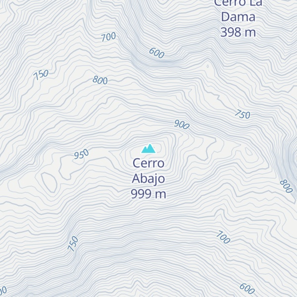 Map of Cerro Abajo