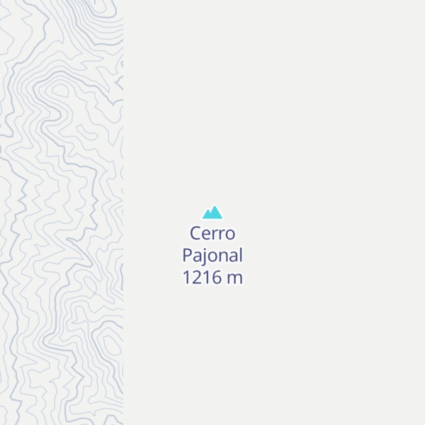 Map of Cerro Pajonal