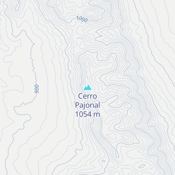 Map of Cerro Pajonal