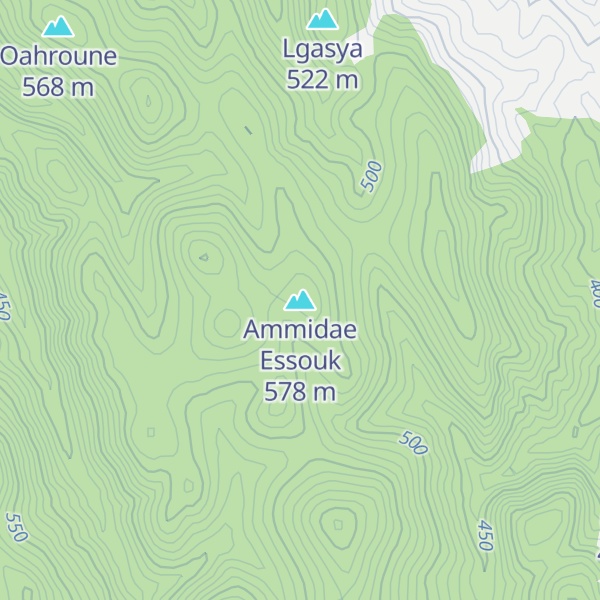 Map of Ammidae Essouk