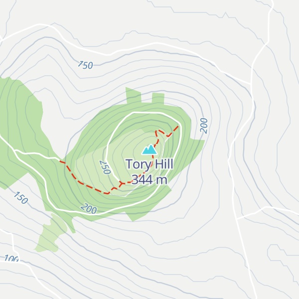 Map of Tory Hill