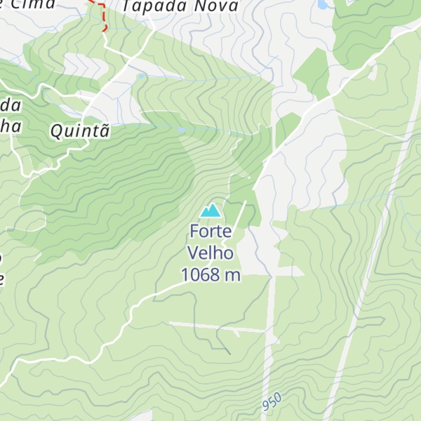 Map of Forte Velho
