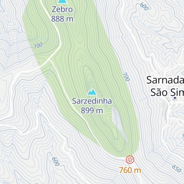 Map of Sarzedinha