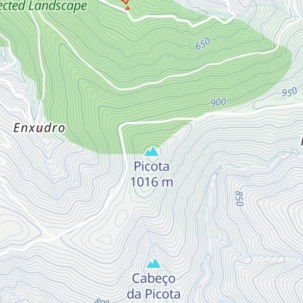 Map of Picota