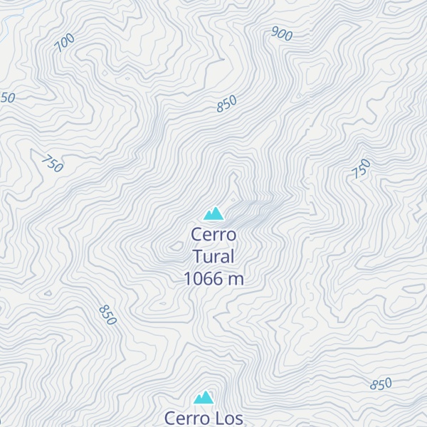 Map of Cerro Tural