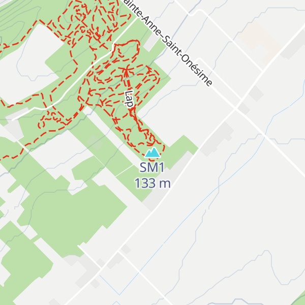 Map of SM1