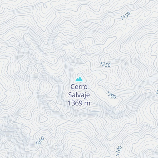 Map of Cerro Salvaje