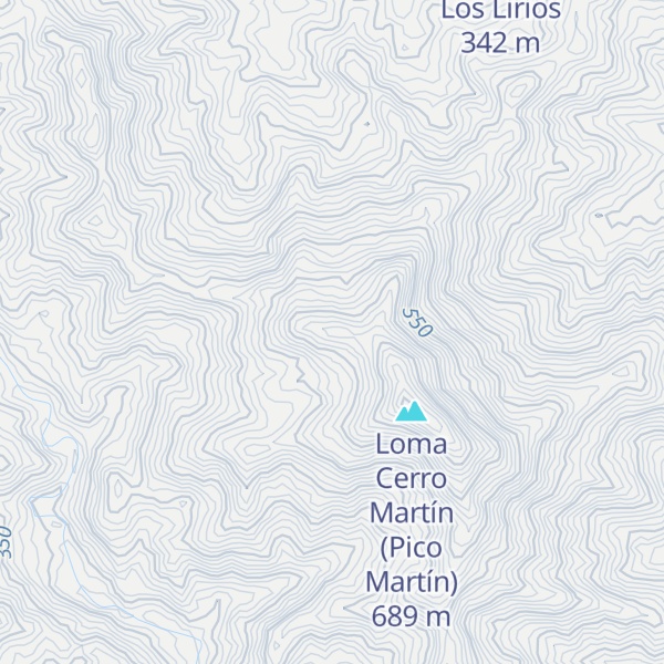 Map of Cerro Martín