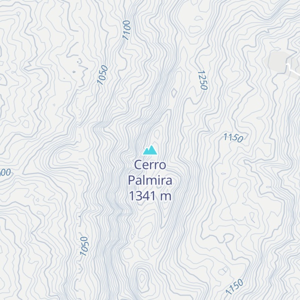 Map of Cerro Palmira