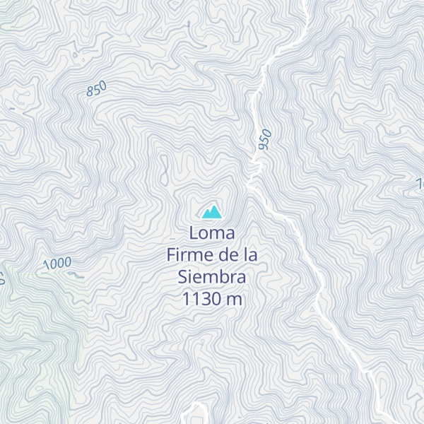 Map of Loma Firme de la Siembra