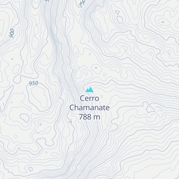Map of Cerro Chamanate