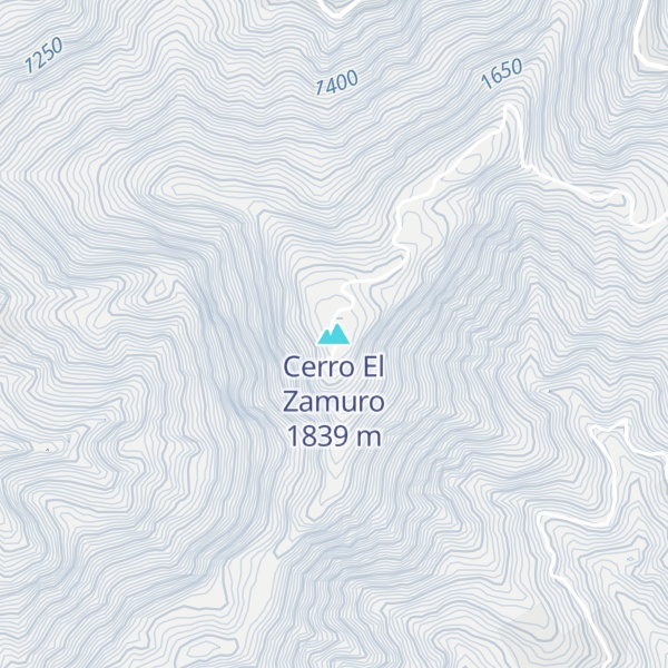 Map of Cerro El Zamuro