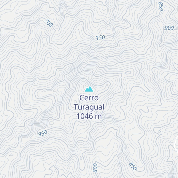 Map of Cerro Turagual