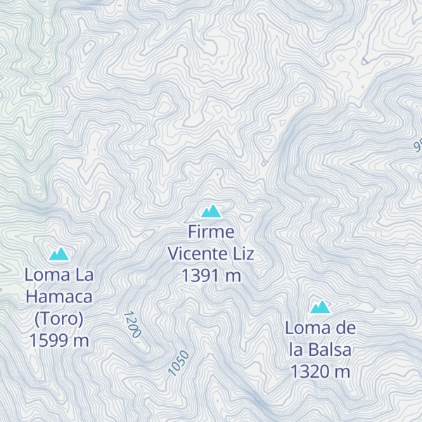 Map of Firme Vicente Liz