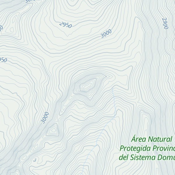 Map of Cerro Puelches