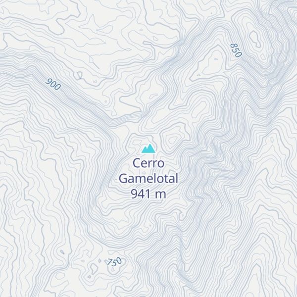 Map of Cerro Gamelotal