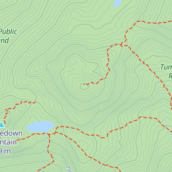 Map of Little Jackson Mountain