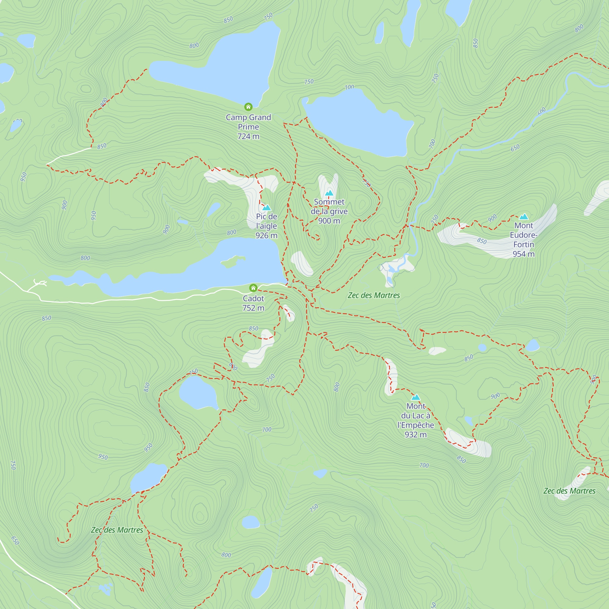 Taiga map