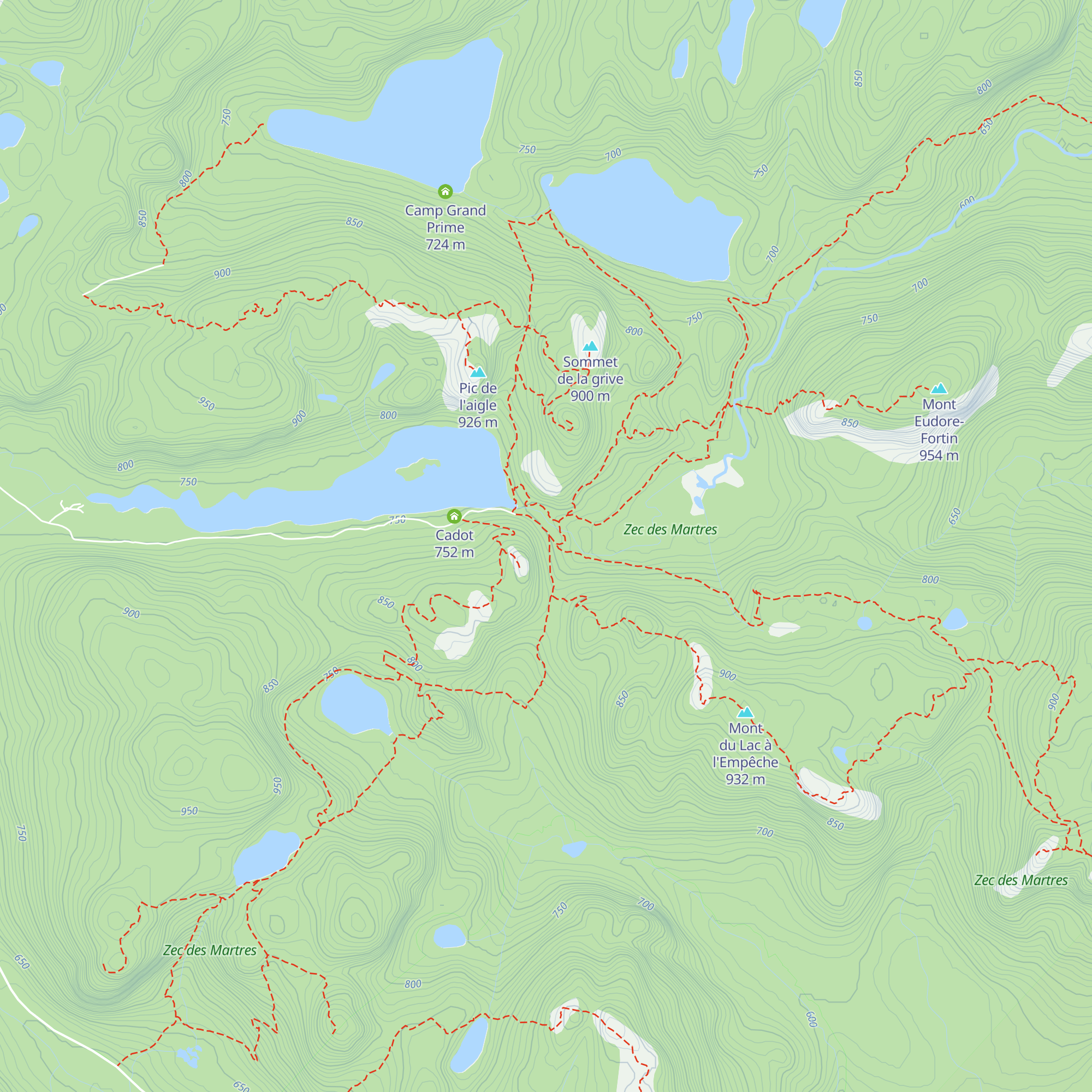 Taiga map