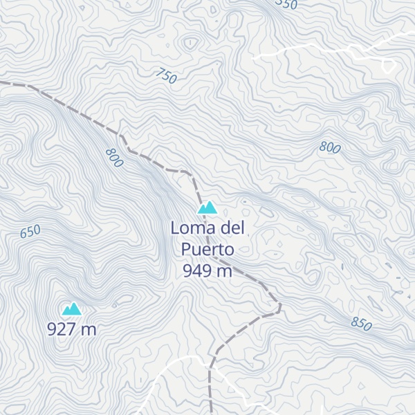Map of Loma del Puerto