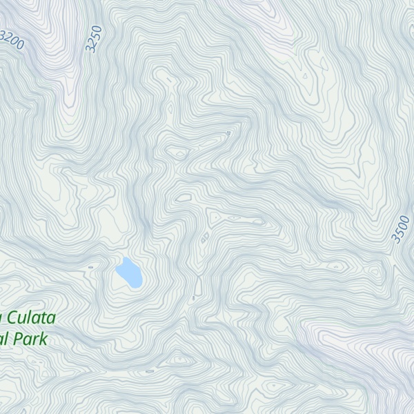 Map of Pico Negro