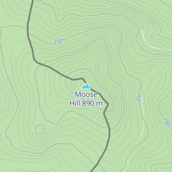 Map of Moose Hill