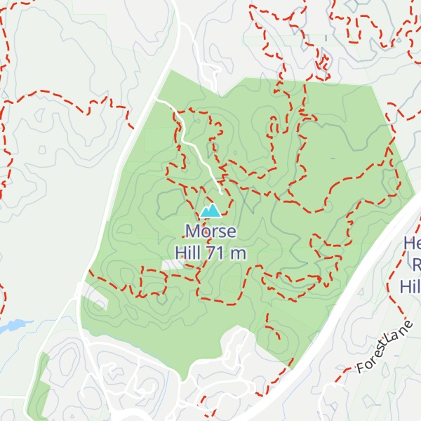 Map of Morse Hill