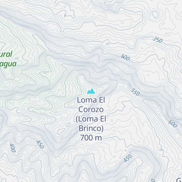 Map of Loma El Corozo (Loma El Brinco)