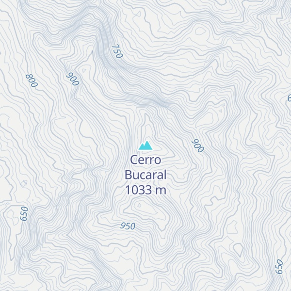 Map of Cerro Bucaral