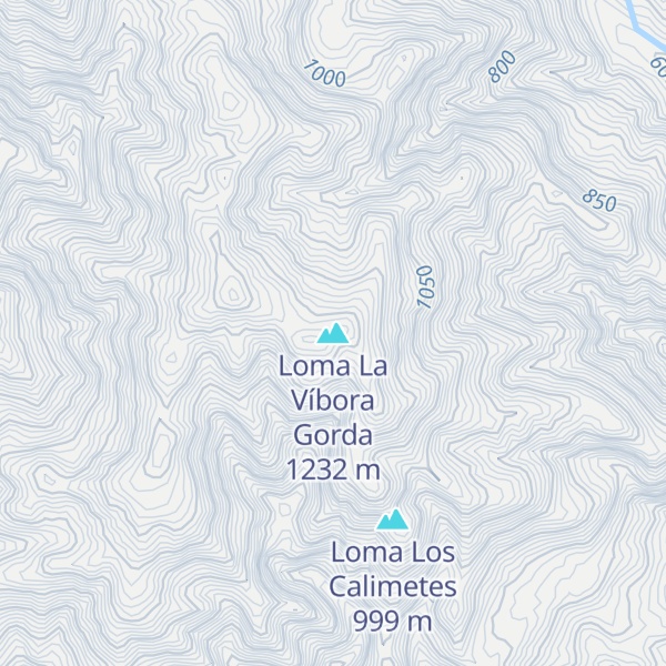 Map of Loma La Víbora Gorda
