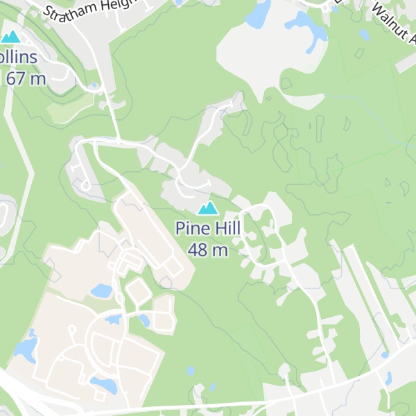 Map of Pine Hill