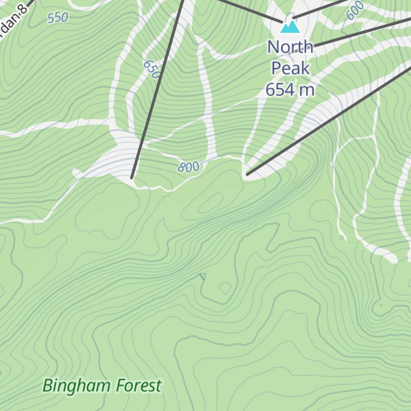 Map of Spruce Peak