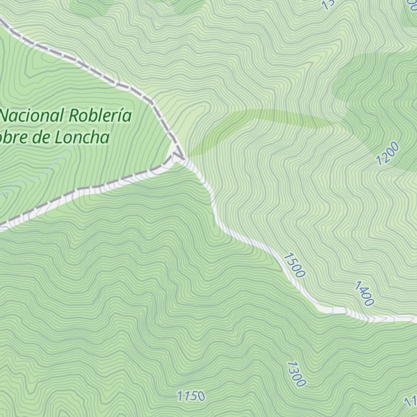 Map of Alto Llivillivi