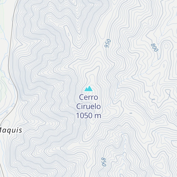 Map of Cerro Ciruelo