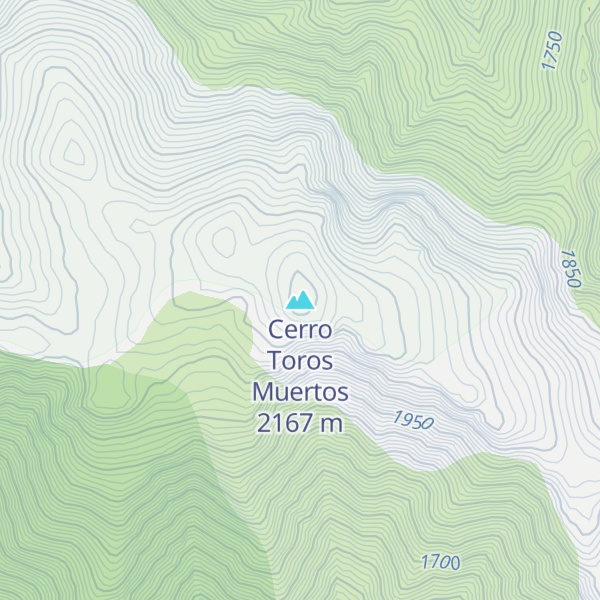 Map of Cerro Toros Muertos