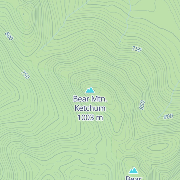 Map of Bear Mtn. Ketchum