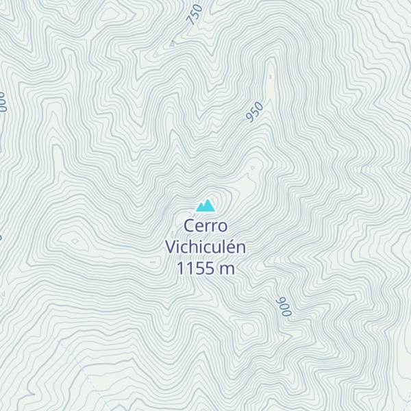 Map of Cerro Vichiculén