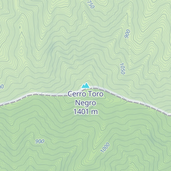 Map of Cerro Toro Negro